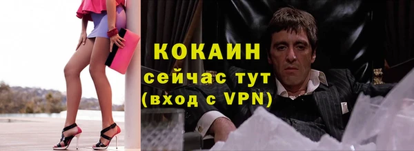 гидра Володарск