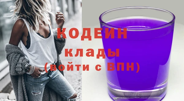 спиды Горняк