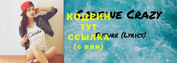 спиды Горняк