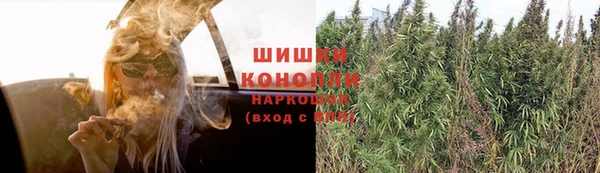 спиды Горняк